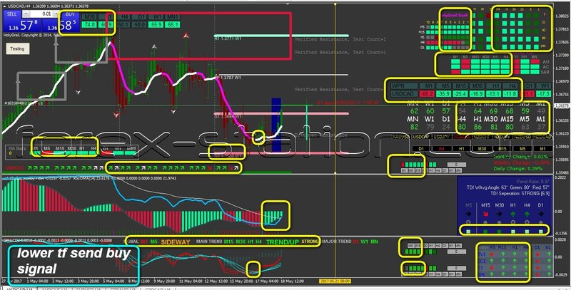 buy signal.jpg