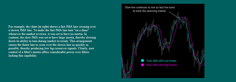 Fast & Slow of JMA.jpg