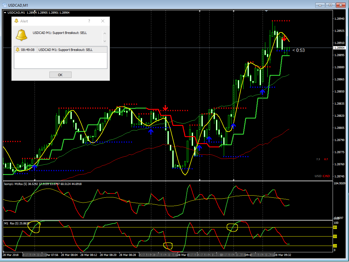 binary options trading strategy reddit