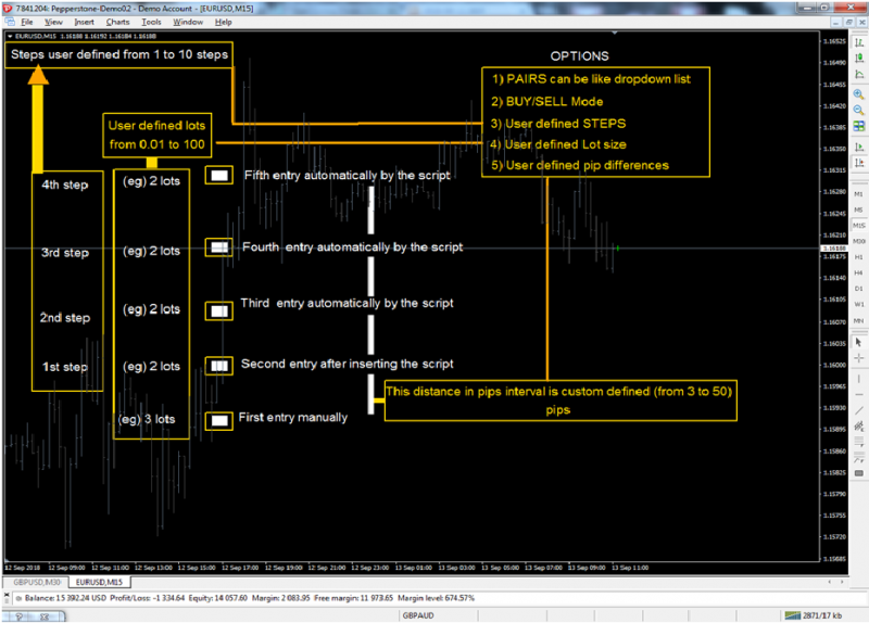 Mt4 Script.png