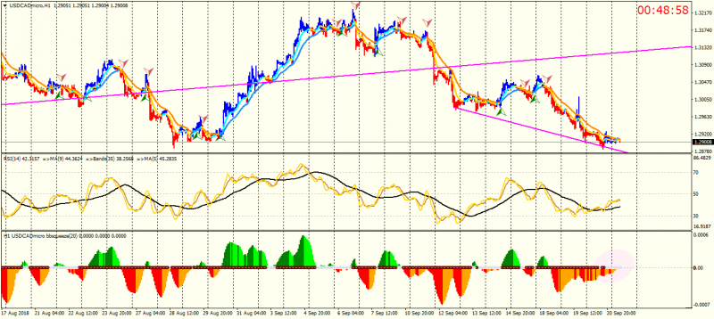 USDCADmicroH1.png