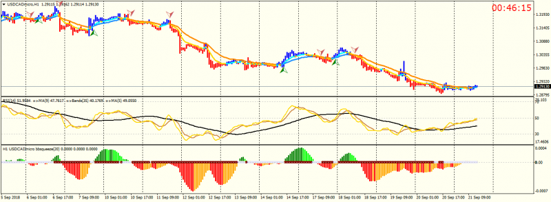 USDCADmicroH1.png