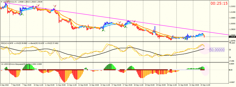 USDCADmicroH1.png