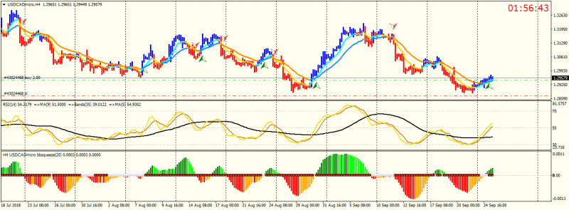 USDCADmicroH4.png