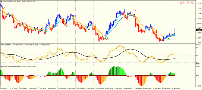 USDCADmicroH4.png