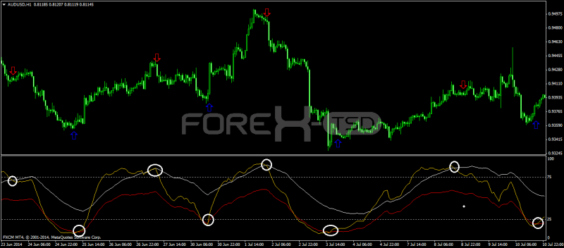 stochastic.png