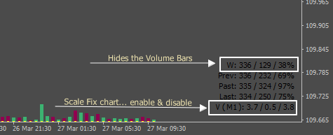 volume_hidden_feature.png