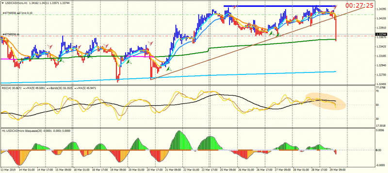 USDCADmicroH1.png