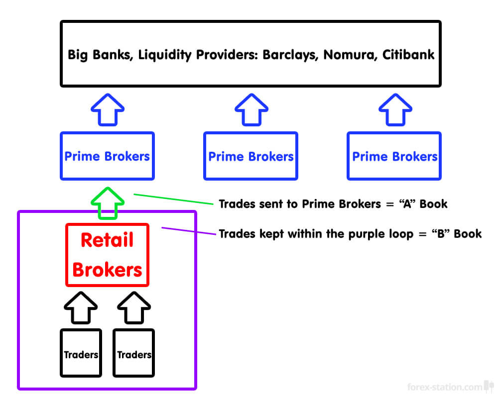 forex brokers trade against you