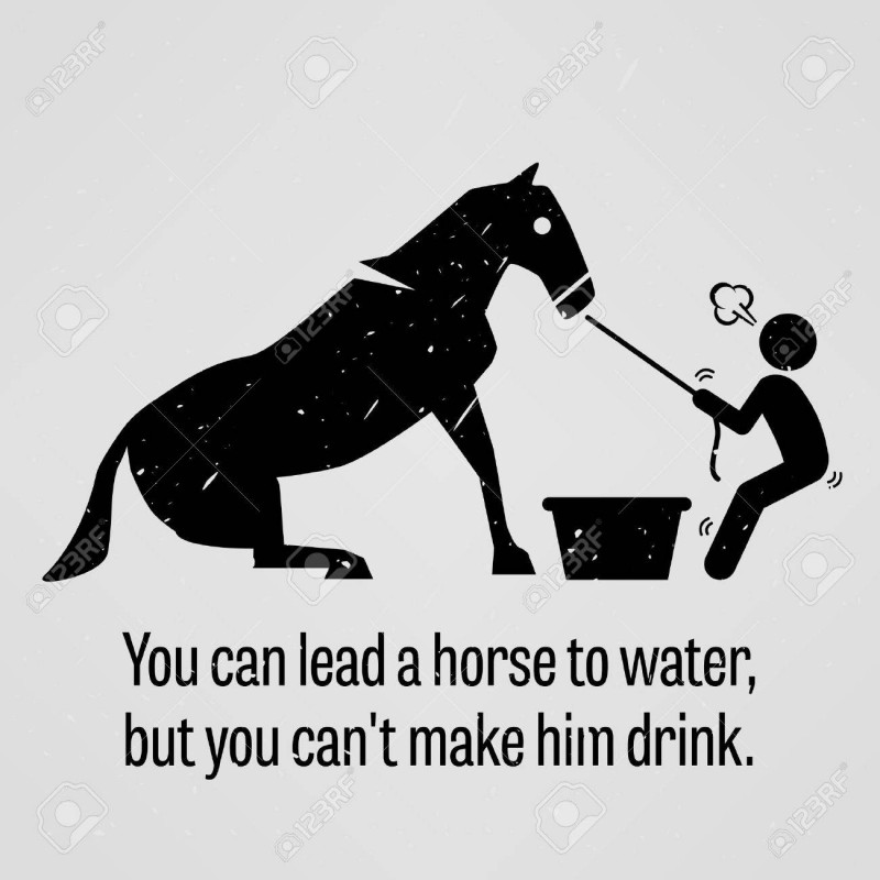 horse to water.jpg