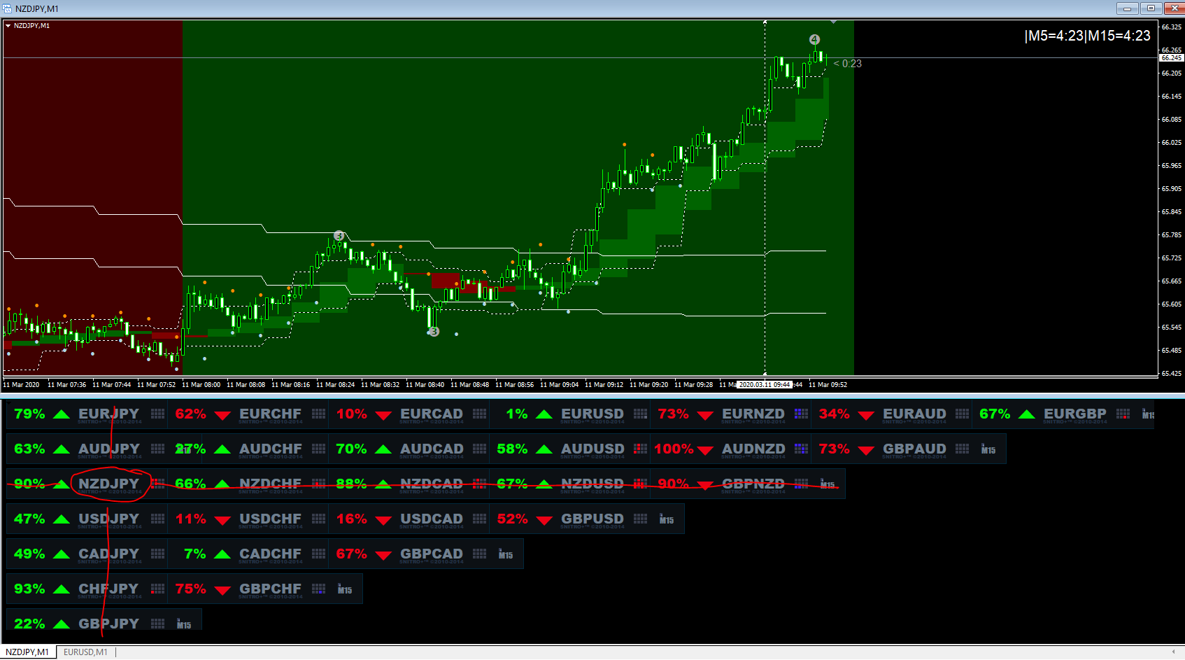 binary options trading academy