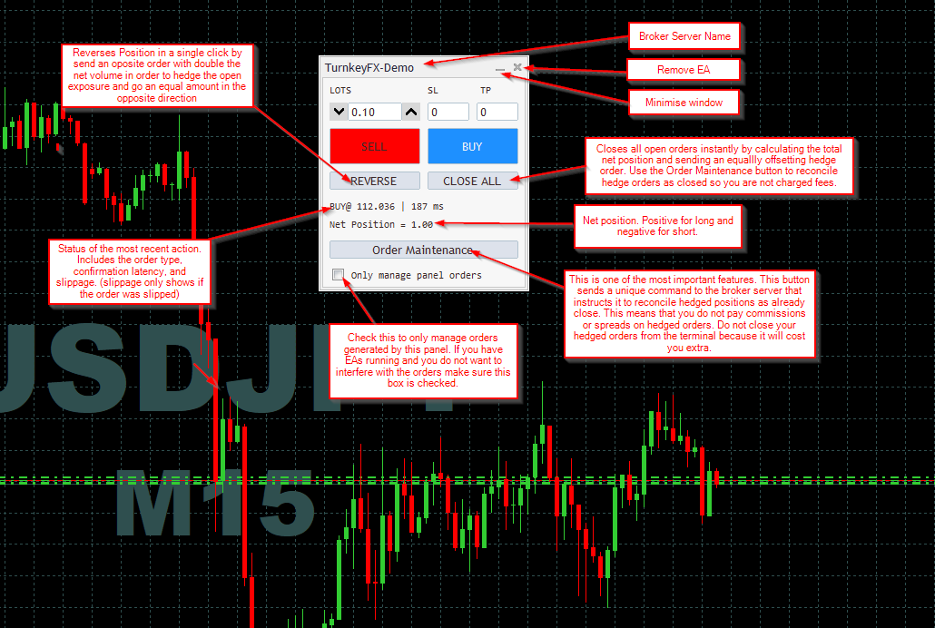 spela sluga - Account Manager - Forexchangefx