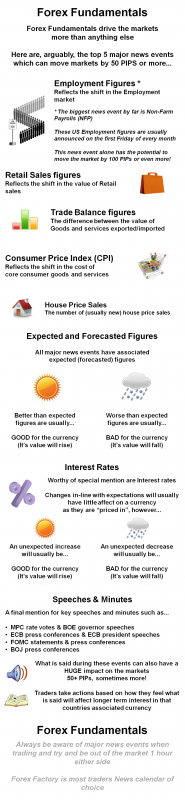 Forex-Fundamentals-infographic.png
