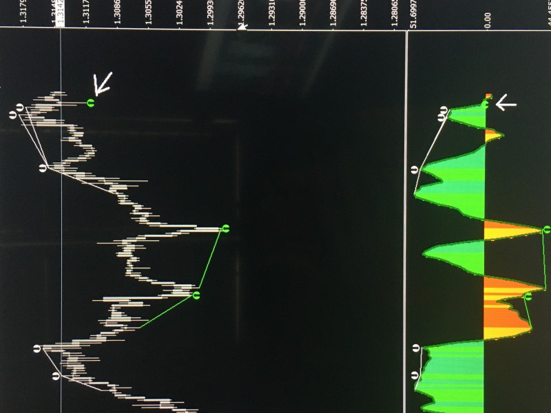 pic1 with arrows.JPG