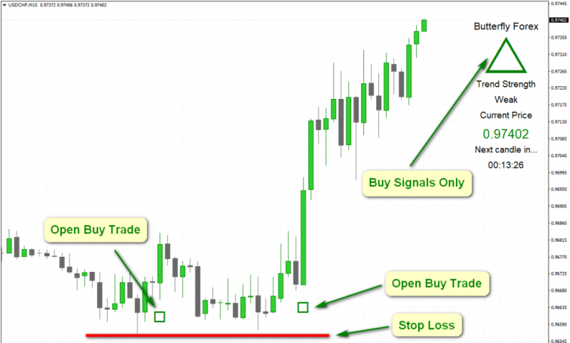 BUTTERFLY FOREX2.png