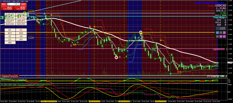 USDCADM5(1-44)-16.10.2020.png