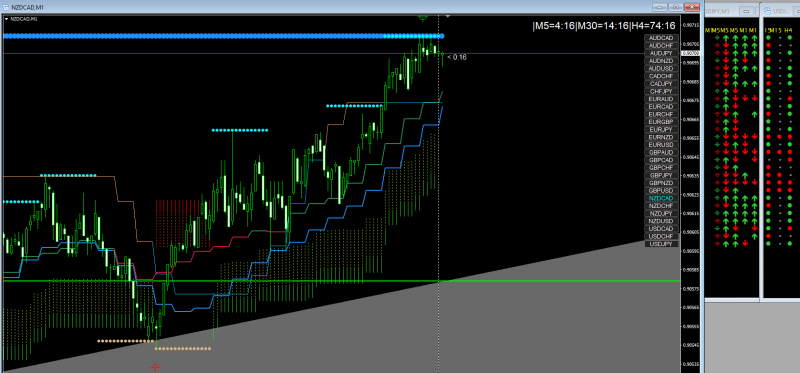 NZDCAD last 5min candle closes above avg - TRADE