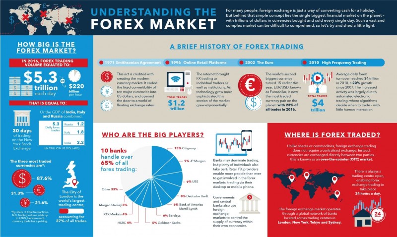 Understanding-the-Forex-Market-Infographic.jpg