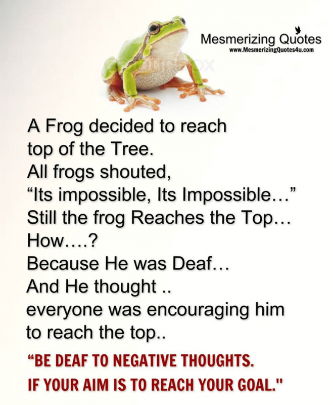 frog_inspiring_quote.png