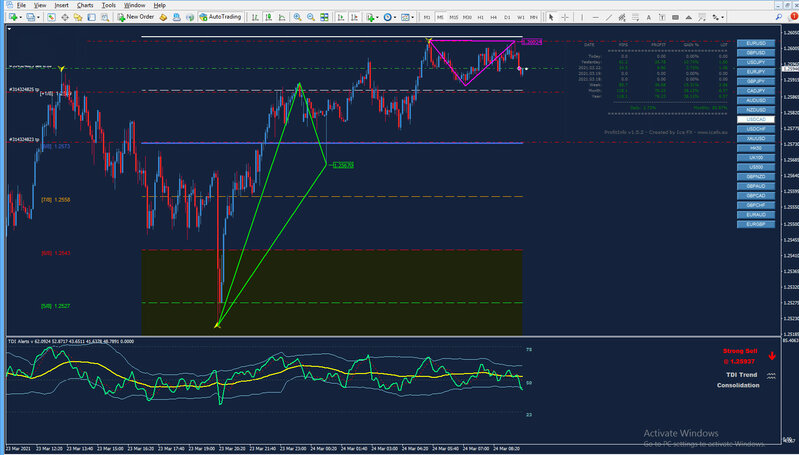 cadjpy m05.jpg