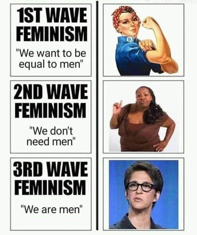feminism-wave-meme.jpg