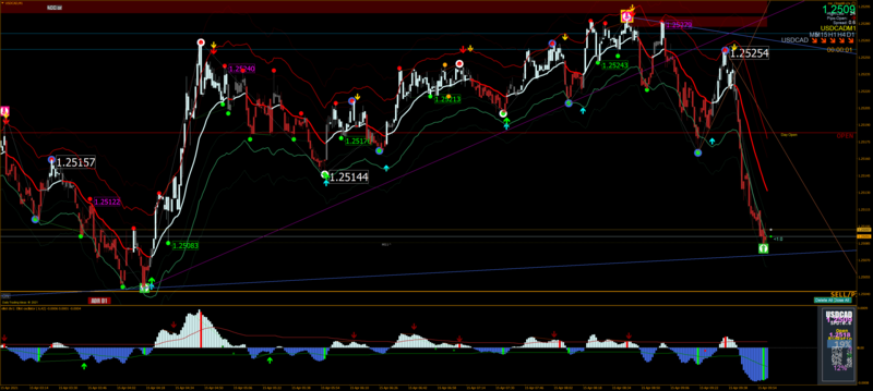 USDCADM1.png