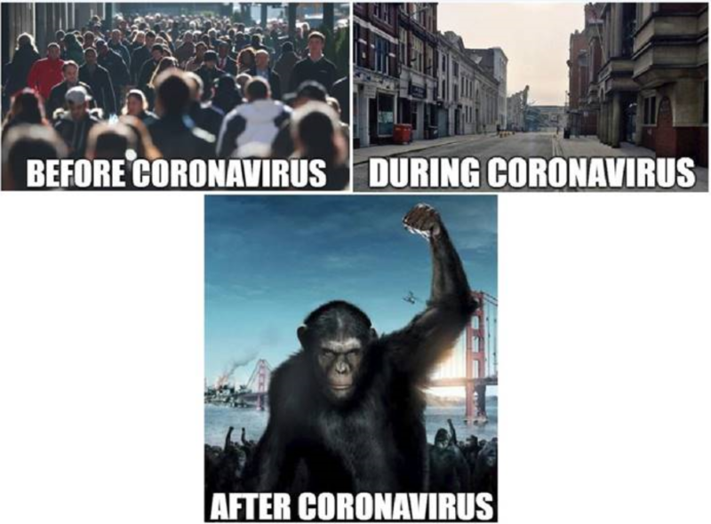 Before-During-After-Covid.PNG