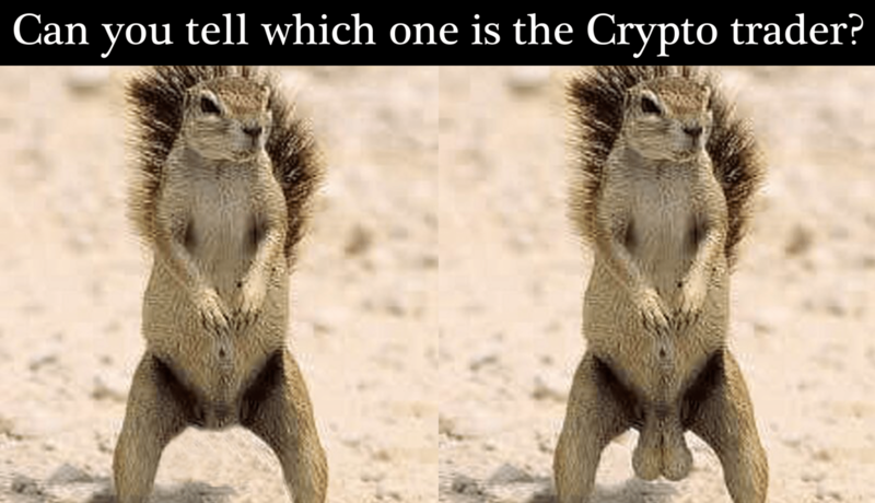 Can-you-tell.PNG