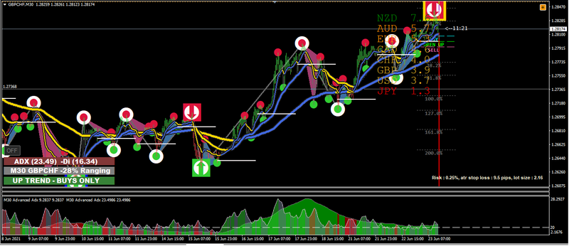 forex station.png