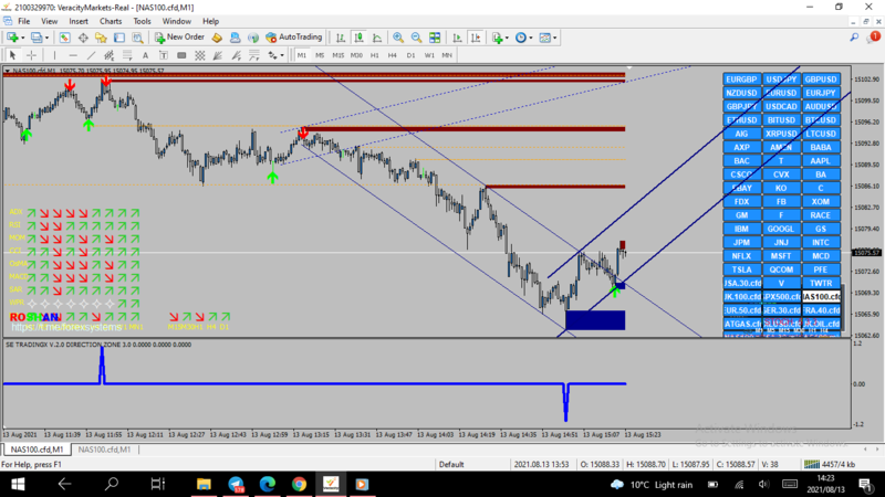 it the DIRECTION INDICATOR(blue line)