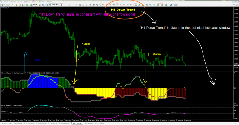 Haos - Visual - averages filtered (mtf + divergence + alerts).png