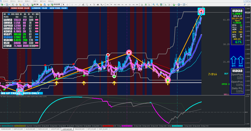 XARD teacher's trading system + Sentiment zone oscillator..png