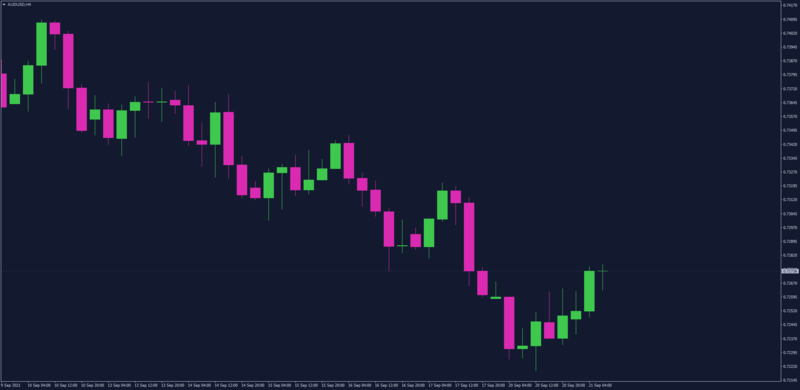 Webull Crypto Chart theme for MT4 Zoomed.png