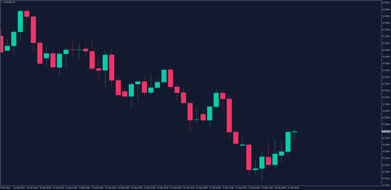 Webull Stocks Chart theme for MT4 Zoomed.png