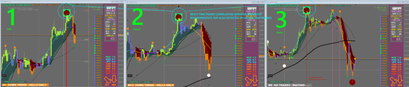 Screen Shot 10-20-2021 at 10.55 AM.png