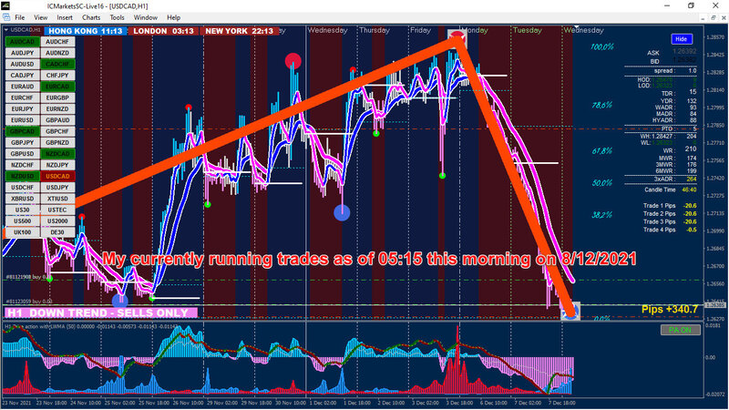 XARD XU V11 running trades #2 7-12-2021.jpg