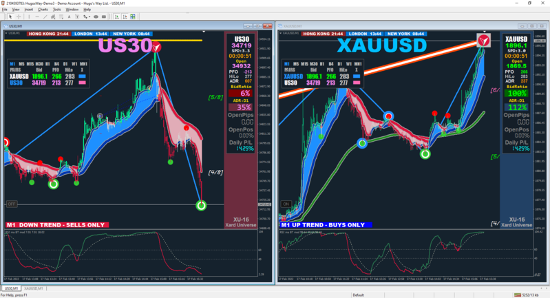 Hugo's Way MetaTrader 4 Terminal.png