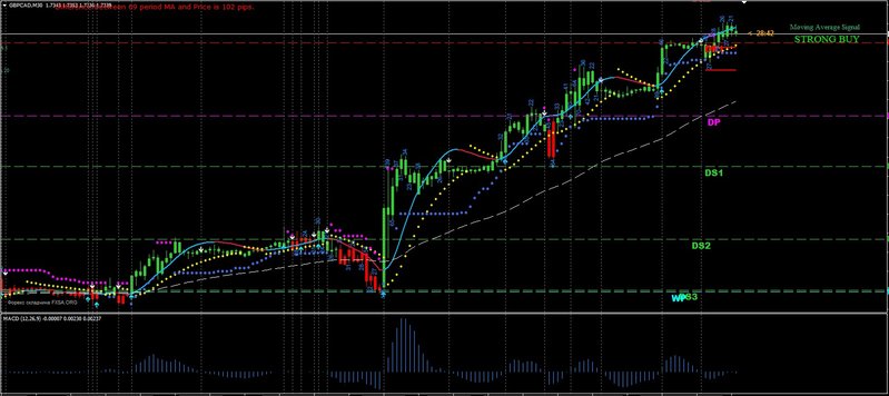 Golden Turtle forex system2.jpg