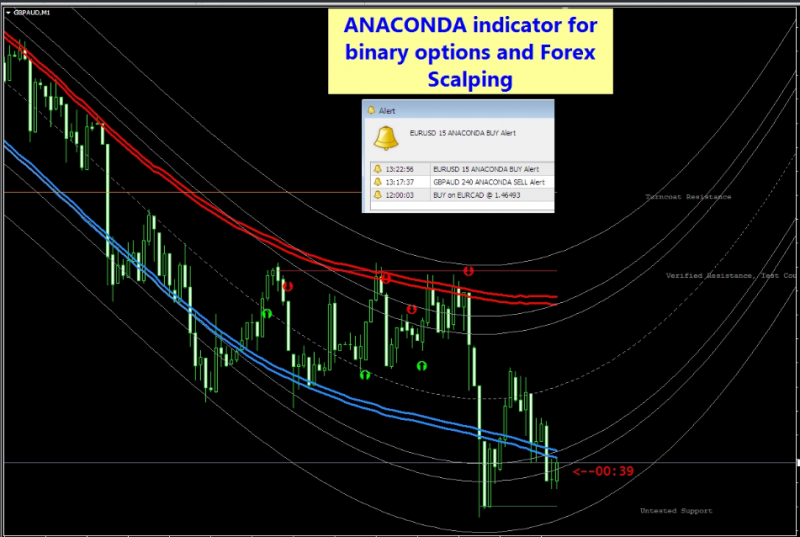 ANACONDA binary options and forex.png