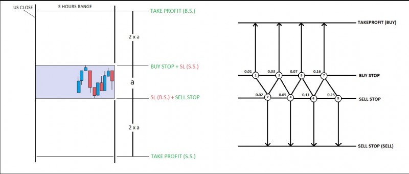 US Close Range Hedge EA 1.jpg