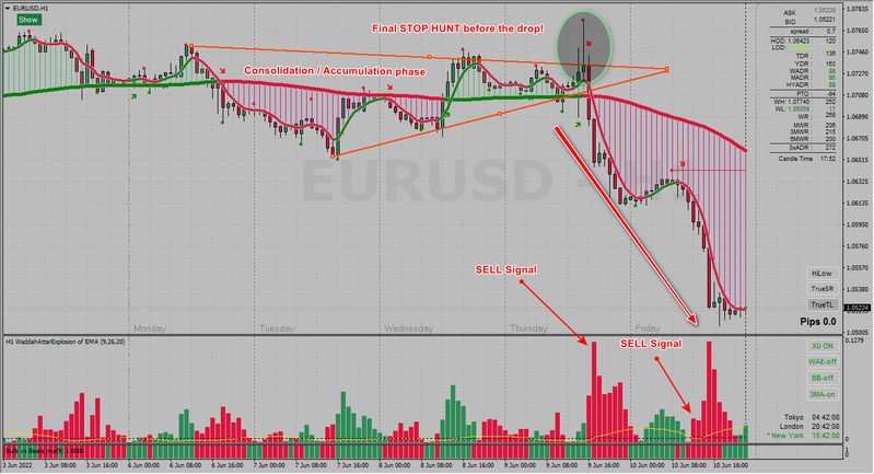 EURUSD H1 10-06-2022 #1.png