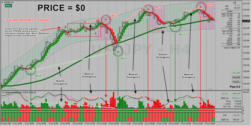 USDJPY 2022-07-03.png