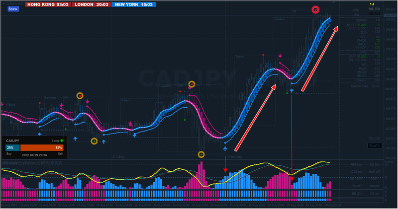 CADJPY 30min.png