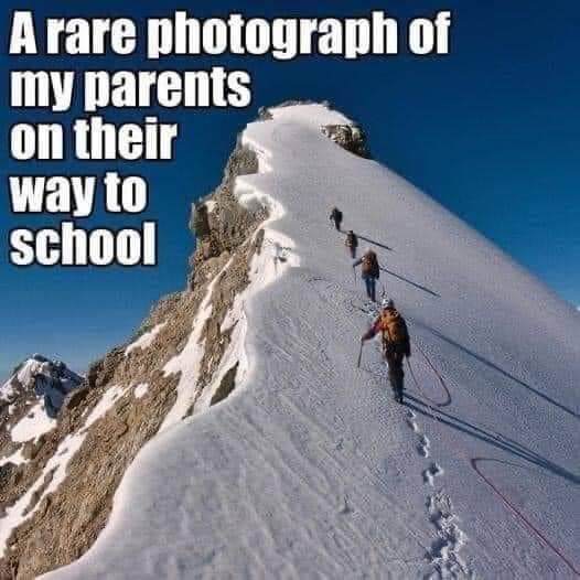 parents to school.jpg
