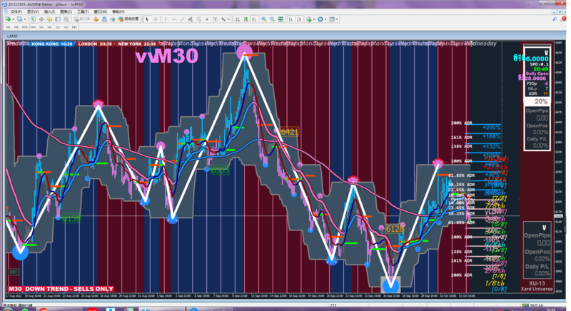 Audrn MetaTrader 4 Terminal.png