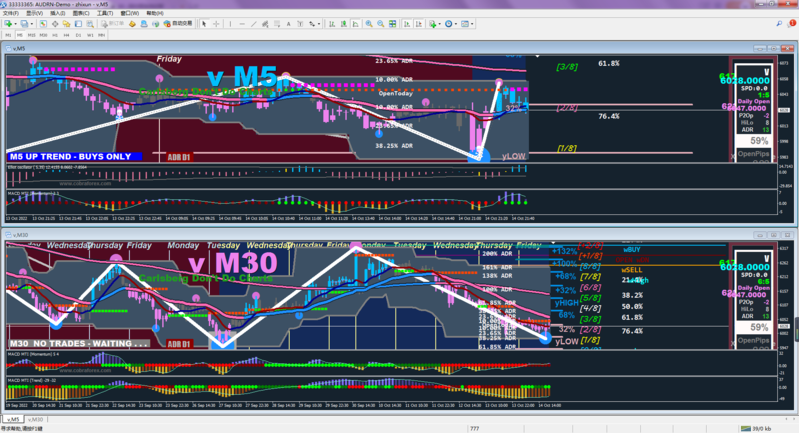 Audrn MetaTrader 4 Terminal.png