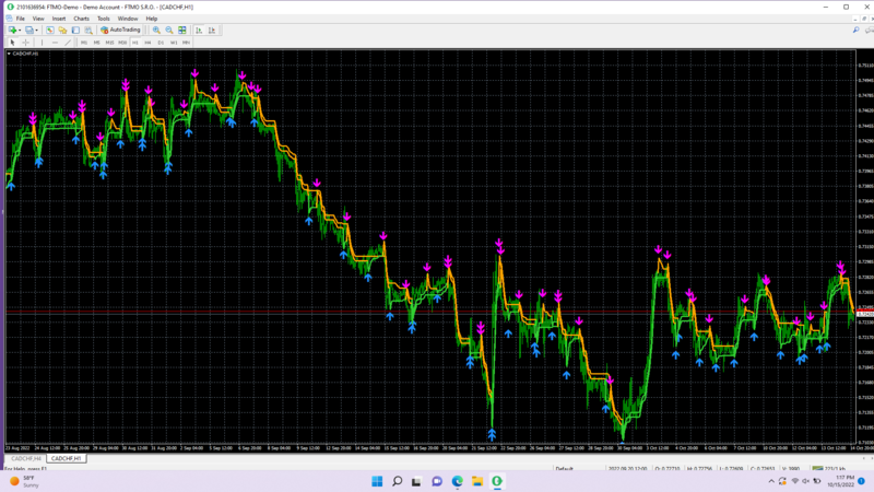 Screenshot (24).png
