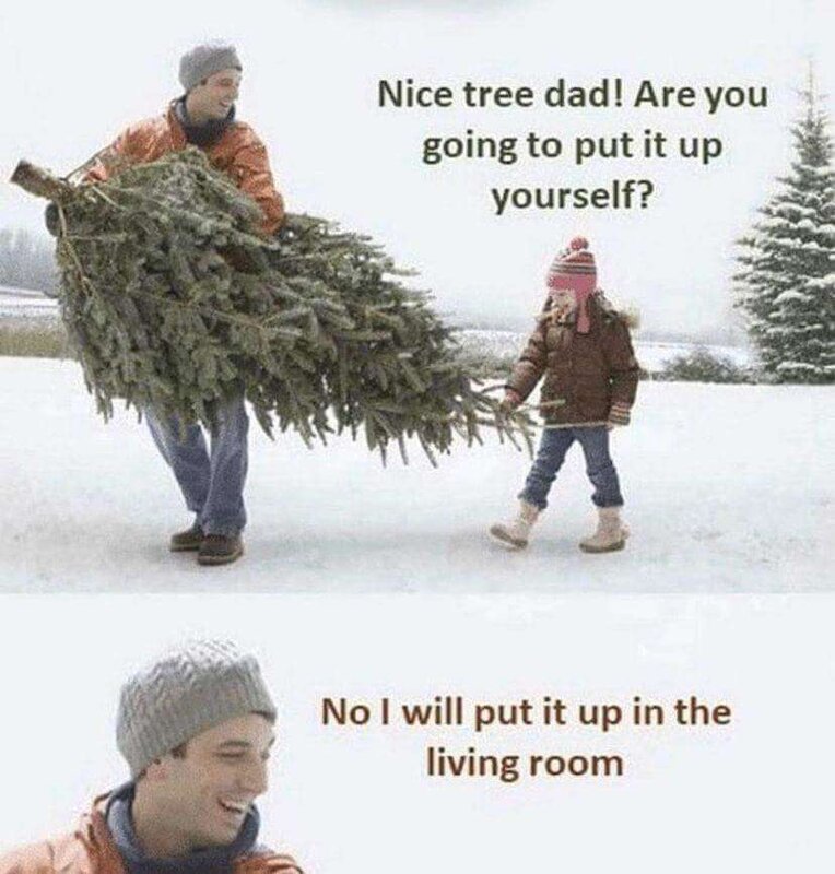 Christmas tree dad meme.jpg