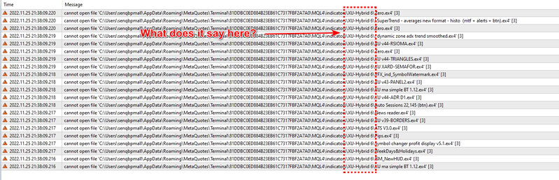 expert log.jpg