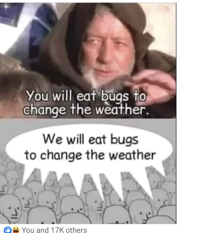 404EE2D0-9AA6-44D2-8153-D7679B986838.jpeg